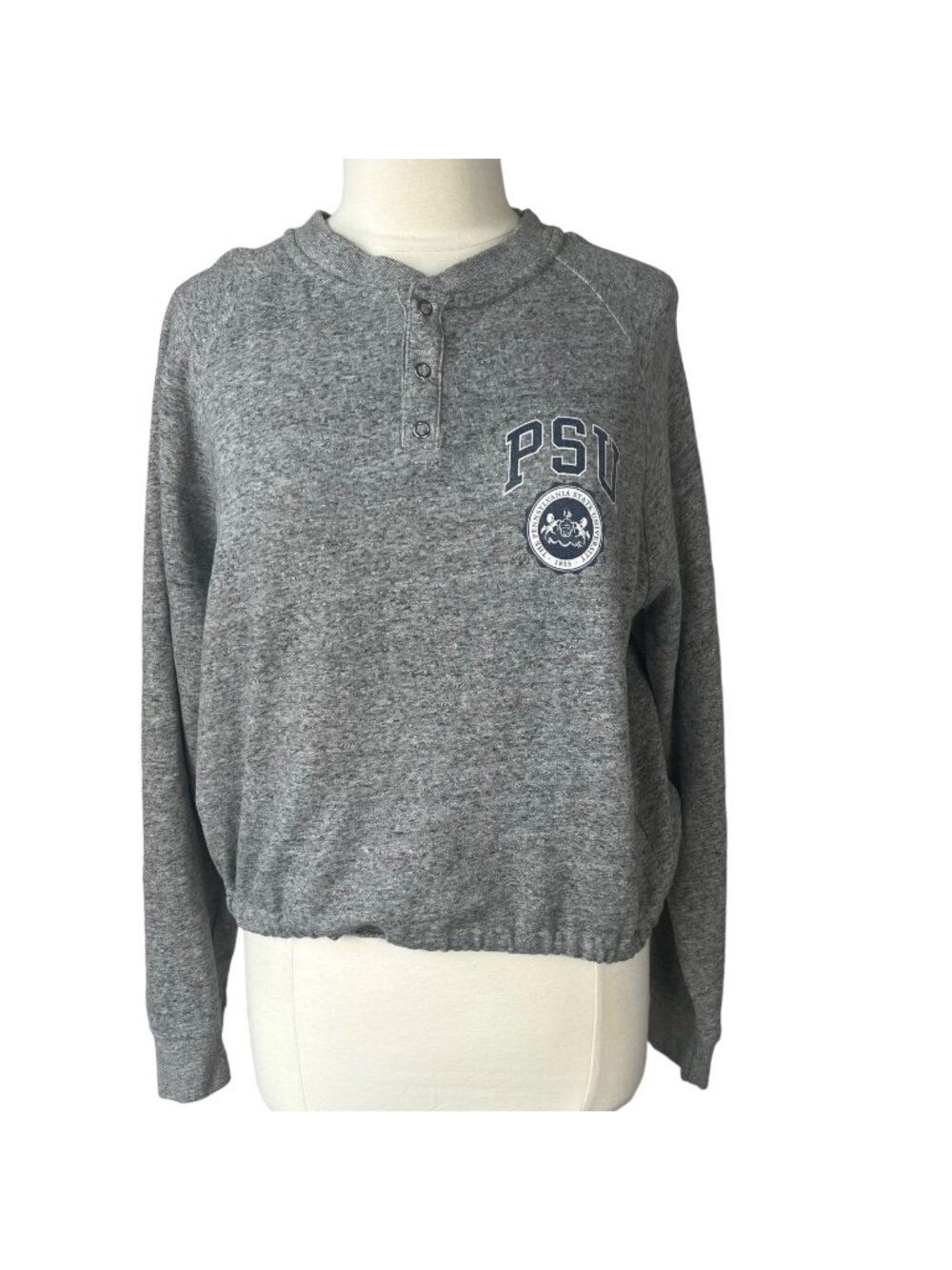 Penn State Snap Sweatshirt Large Gray Tailgate Fanwear NCAA